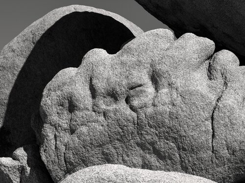 Untitled by Brandon LeValley, Photography for Sale on Singulart