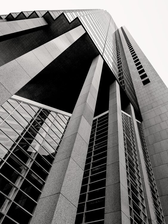 Beneath the Tower Brandon LeValley