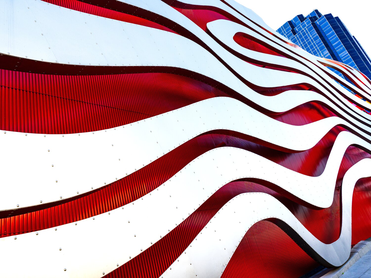 Red White & Blue Brandon LeValley
