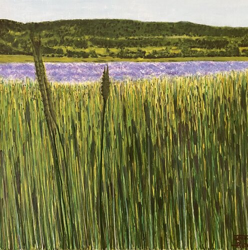 Paysage à Sault en Provence. von FRANCOIS D'ARDAILHON, Malerei kaufen auf Singulart