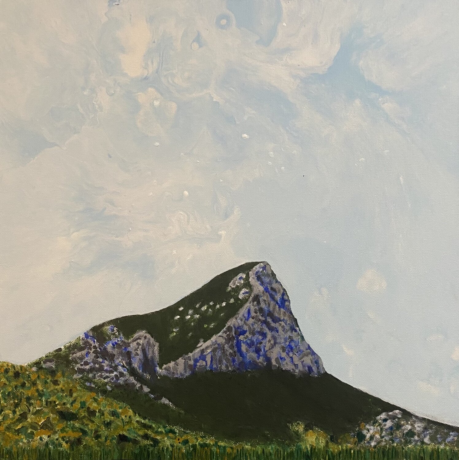 Le Pic Saint Loup au printemps. FRANCOIS D'ARDAILHON