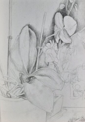 Vers la lumière. Orchidée by Nathalie Gautier, 素描 for Sale on Singulart