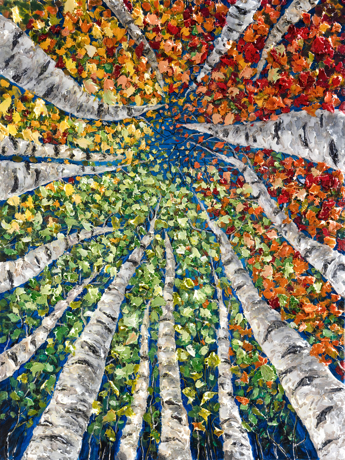 Kaleidoscope Canopy Lena Owens