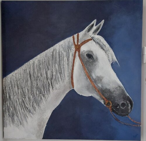Cheval blanc by Sandra MESSAOUDI, Painting for Sale on Singulart