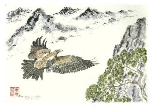 Soaring Wedge-tailed Eagle di Arlo Mercia, Pittura in vendita su Singulart