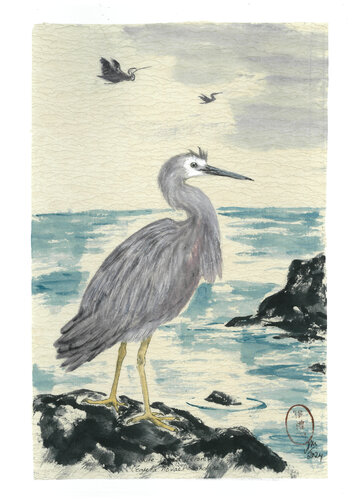 White-Faced Heron di Arlo Mercia, Pittura in vendita su Singulart