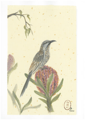 Little Wattlebird with Banksia di Arlo Mercia, Pittura in vendita su Singulart