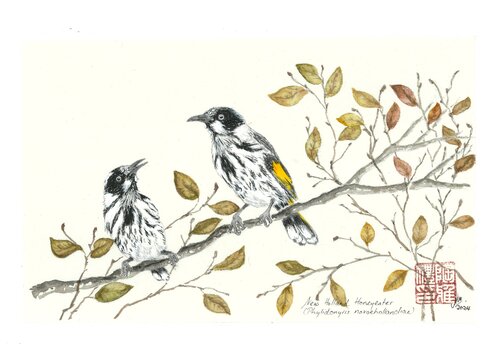 New Holland Honeyeaters in Autumn di Arlo Mercia, Pittura in vendita su Singulart