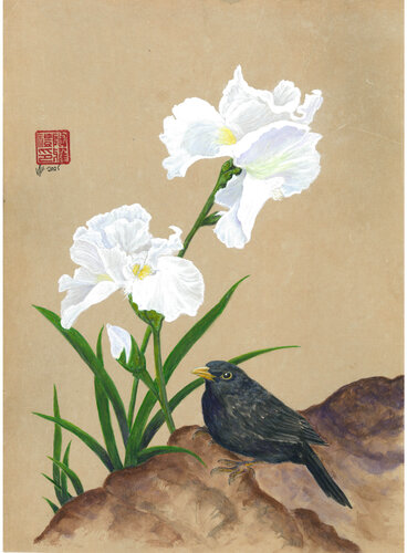 Blackbird with White Iris di Arlo Mercia, Pittura in vendita su Singulart