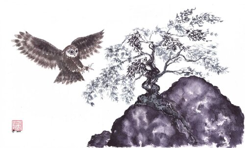 Boobook Owl & Willow di Arlo Mercia, Pittura in vendita su Singulart