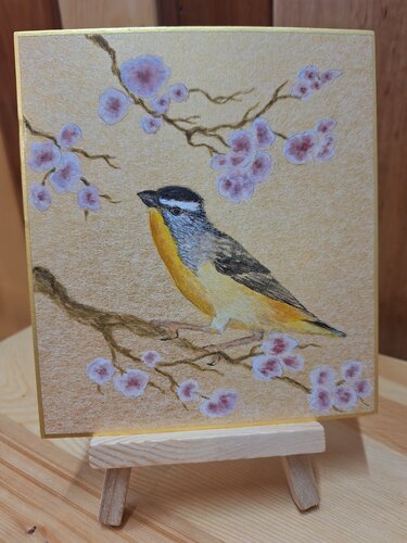 Pardalote on Gold 1 di Arlo Mercia, Pittura in vendita su Singulart