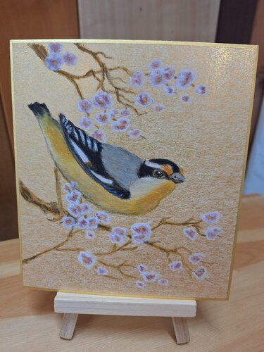 Pardalote on Gold 2 di Arlo Mercia, Pittura in vendita su Singulart