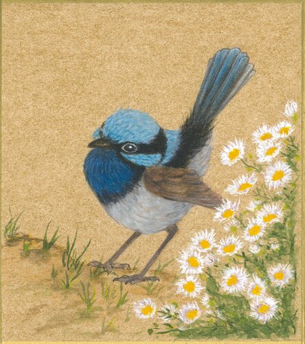 Fairy Wren on Gold by Arlo Mercia, 회화 for Sale on Singulart