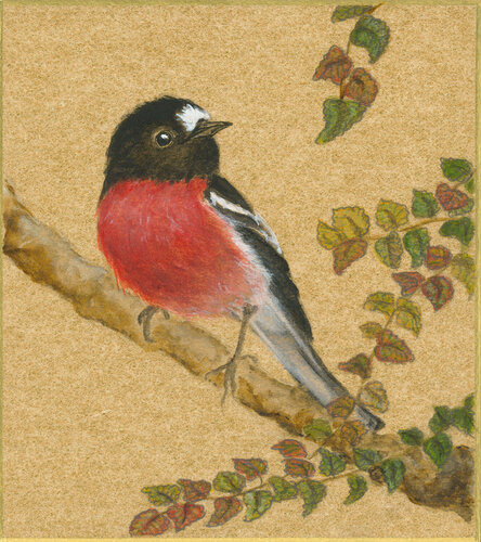 Scarlet Robin on Gold de Arlo Mercia, Pintura a la venta en Singulart