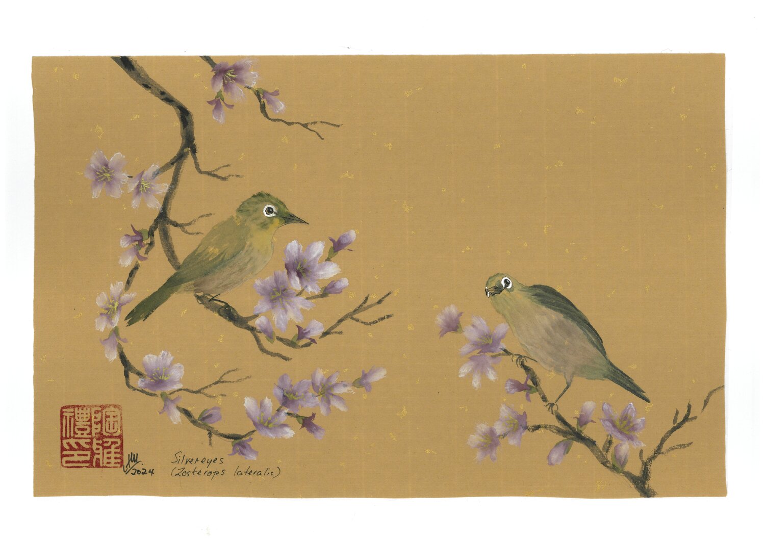 Silvereyes with Plum Blossom Arlo Mercia