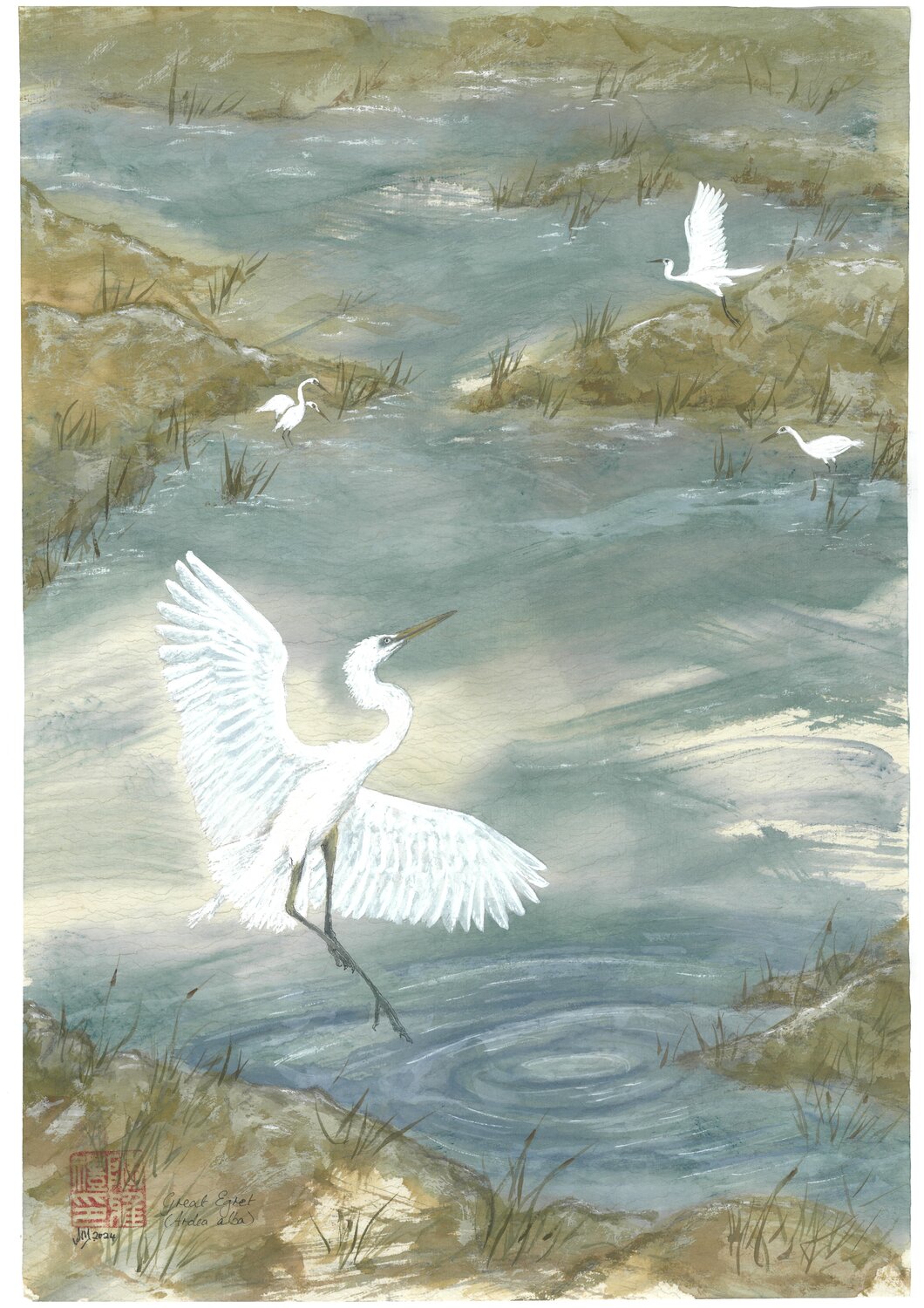 Egrets Dancing 1 Arlo Mercia