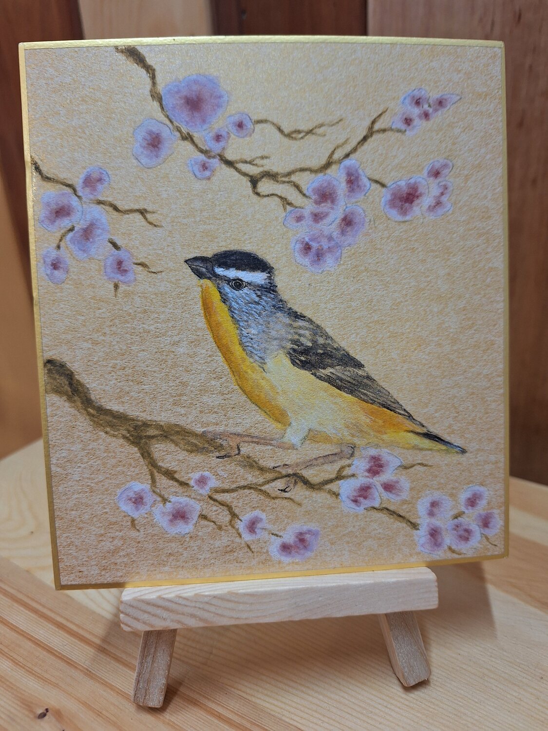 Pardalote on Gold 1 Arlo Mercia