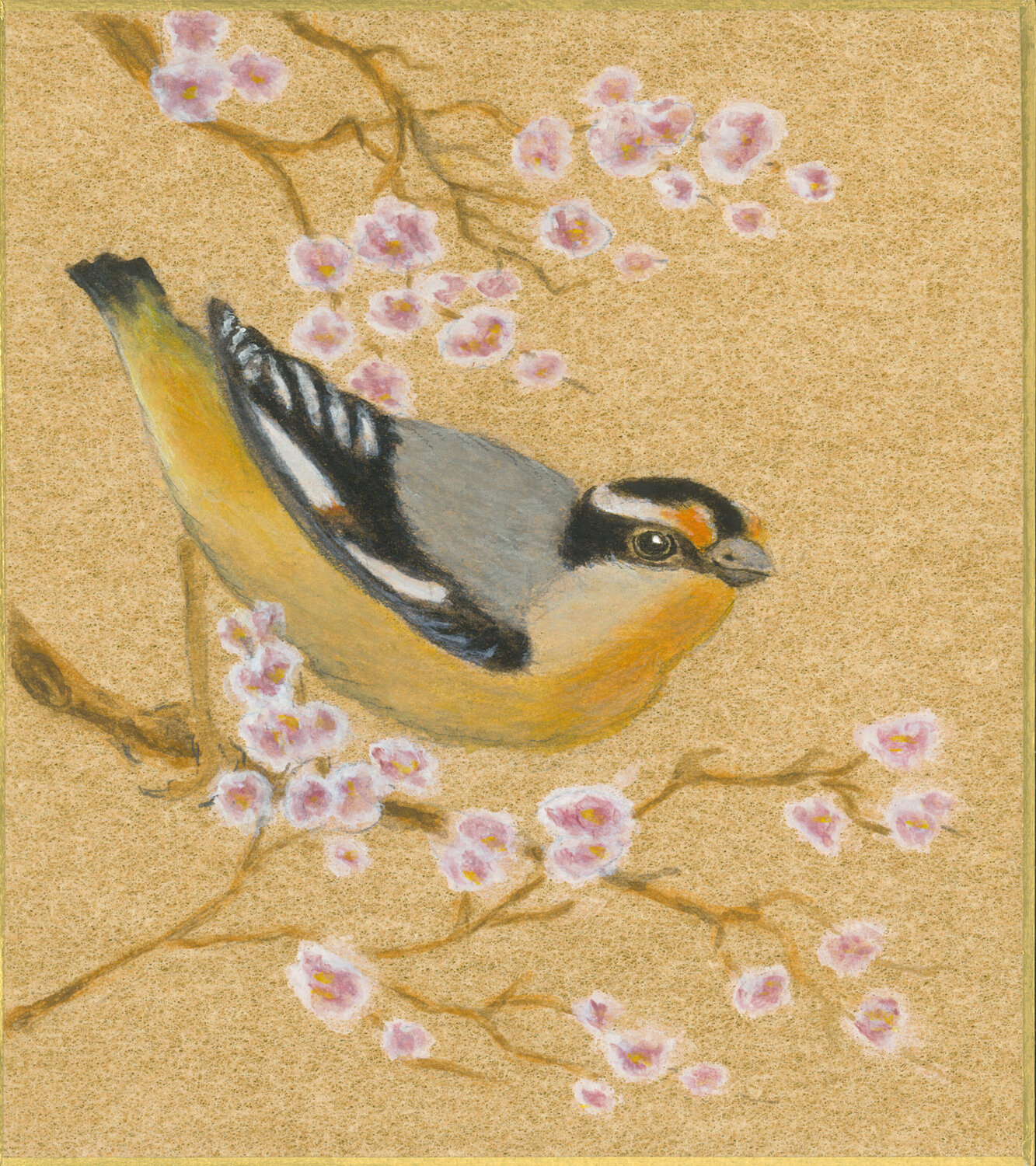 Pardalote on Gold 2 Arlo Mercia Originalgemälde zu verkaufen