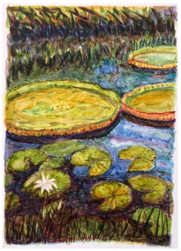 Lotus pond 1 de Emma Ramírez Conde, Obra en papel a la venta en Singulart