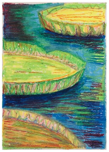 Lotus pond 3 de Emma Ramírez Conde, Obra en papel a la venta en Singulart