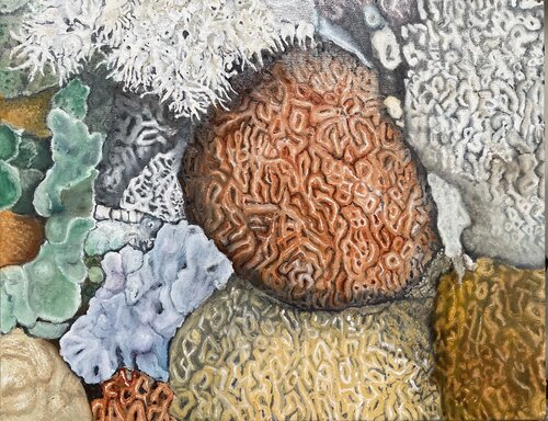 Staghorn by Margot McMahon, Painting for Sale on Singulart