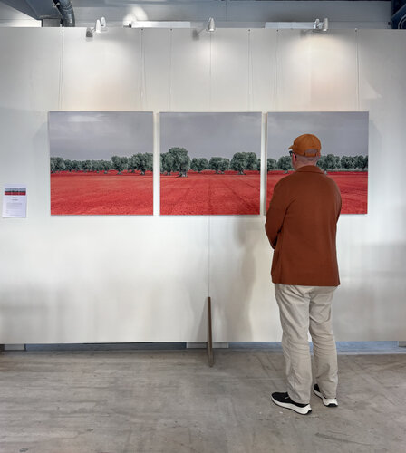 Red Apulia Triptych de Natalia Samsonova, Fotografía a la venta en Singulart