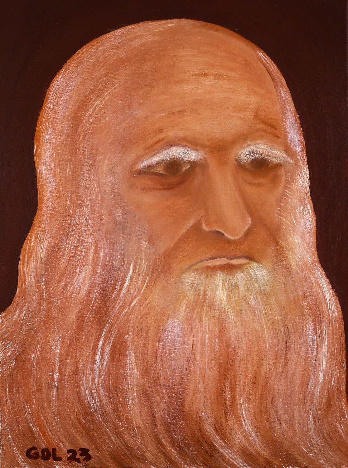 Estudio sobre auto retrato Da Vinci. Gustavo de Leon