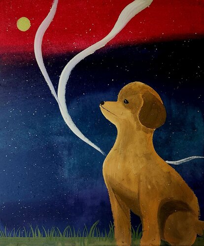 Puppy see night sky by Jinkyeong An, Painting for Sale on Singulart
