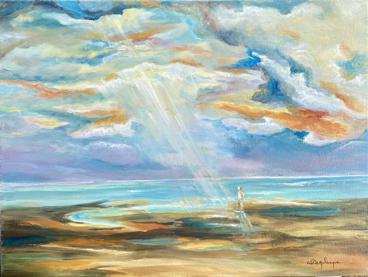 Immensité Christine desplanque