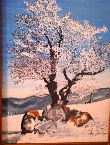 Windbuche am Schauinsland van Bernd Stephanny, Schilderij te koop op Singulart