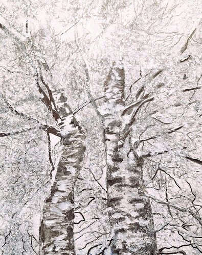 Birken im Winter by Bernd Stephanny, 油畫 for Sale on Singulart