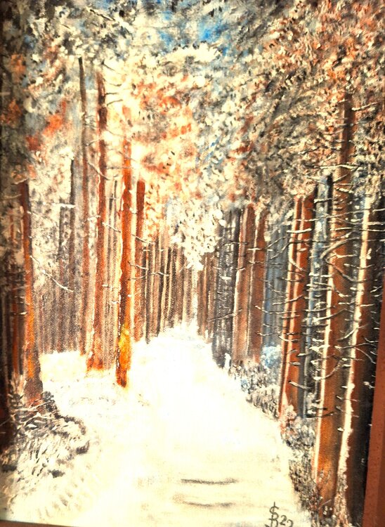 Preisreduktion Waldweg im Winter Bernd Stephanny