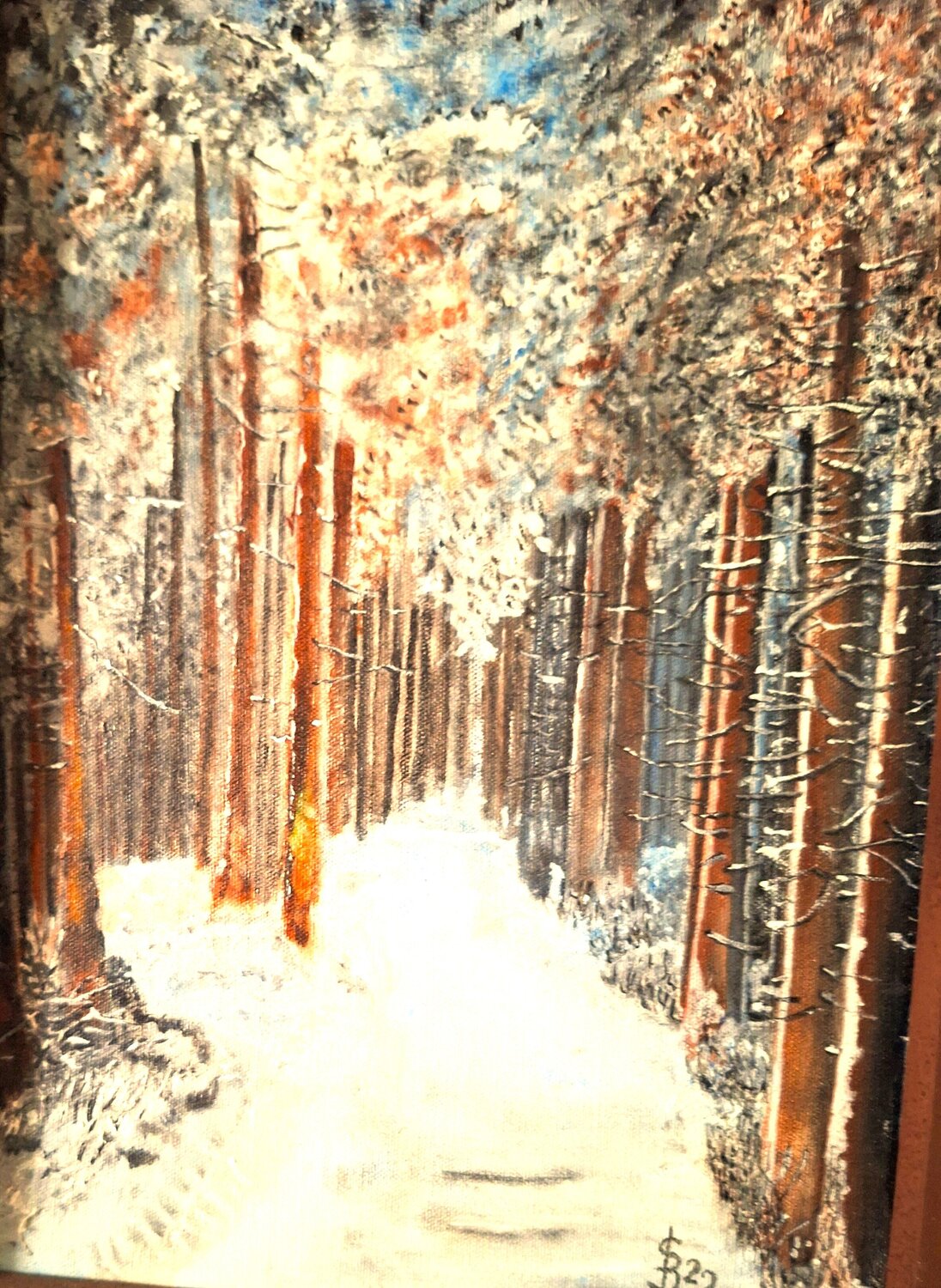 Preisreduktion Waldweg im Winter Bernd Stephanny