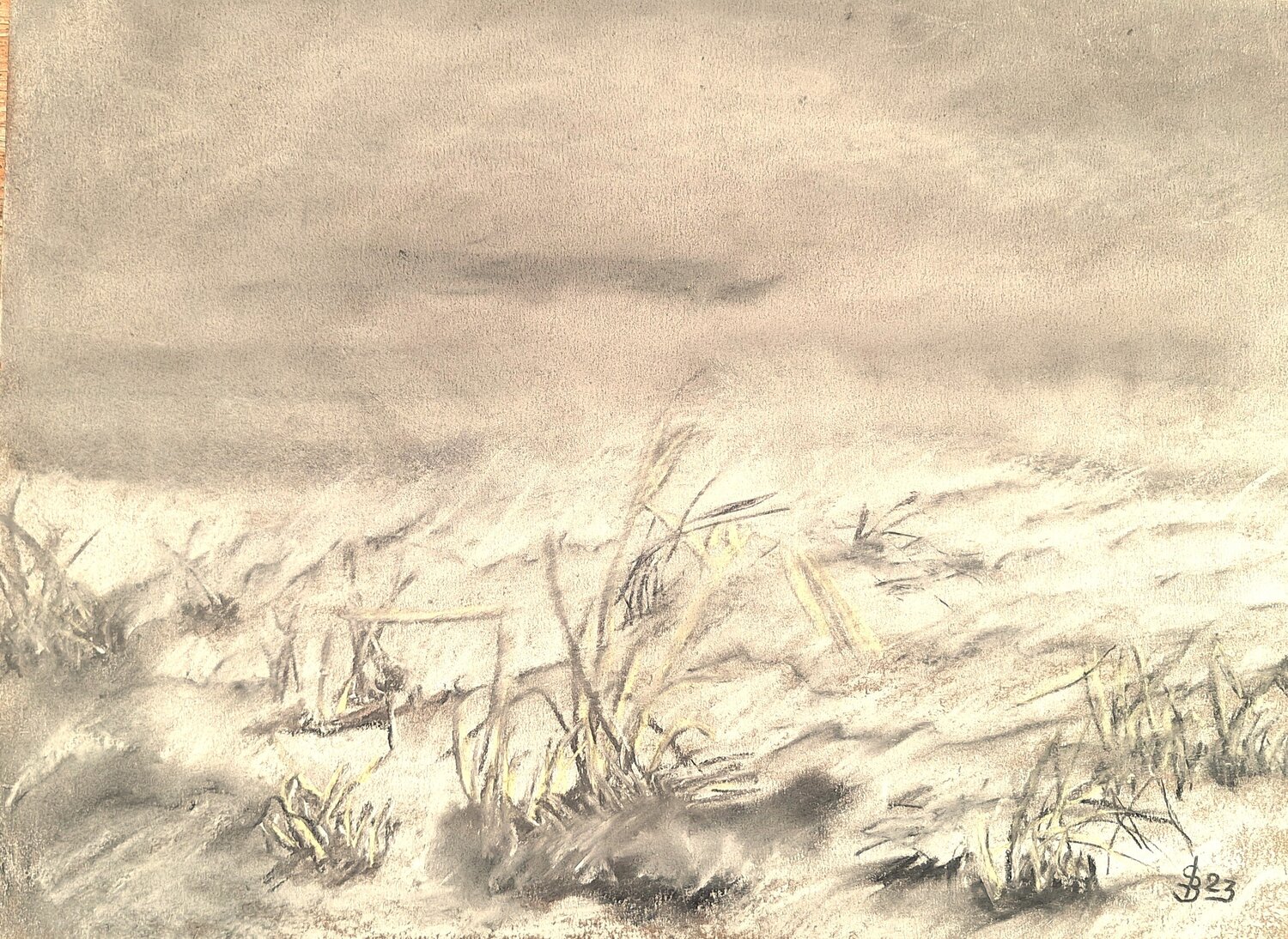 Arctic Tundra Bernd Stephanny