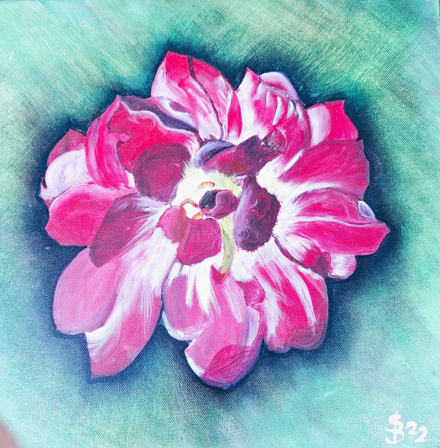 Blüte Bernd Stephanny