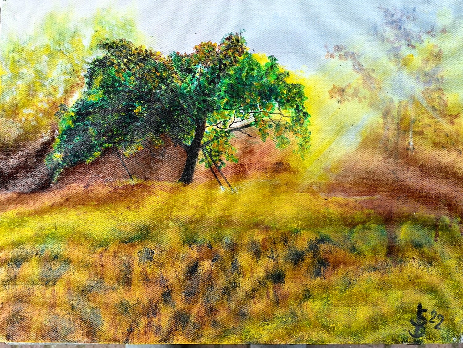 der Apfelbaum Bernd Stephanny