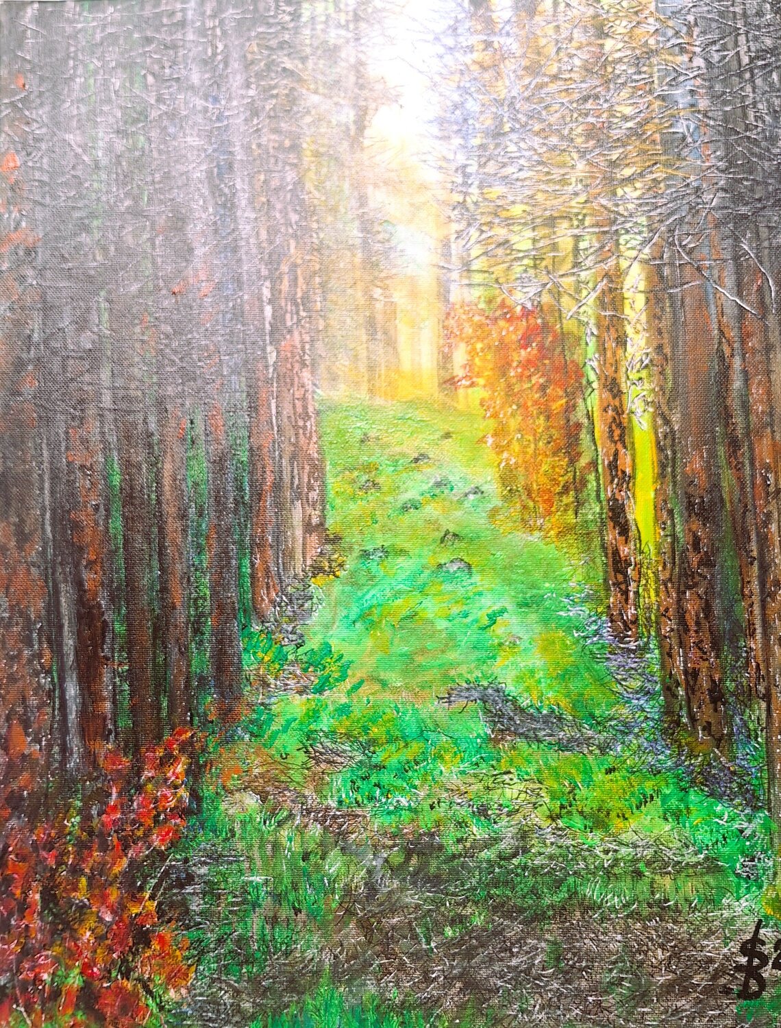 Waldweg im Sonnenlicht Bernd Stephanny