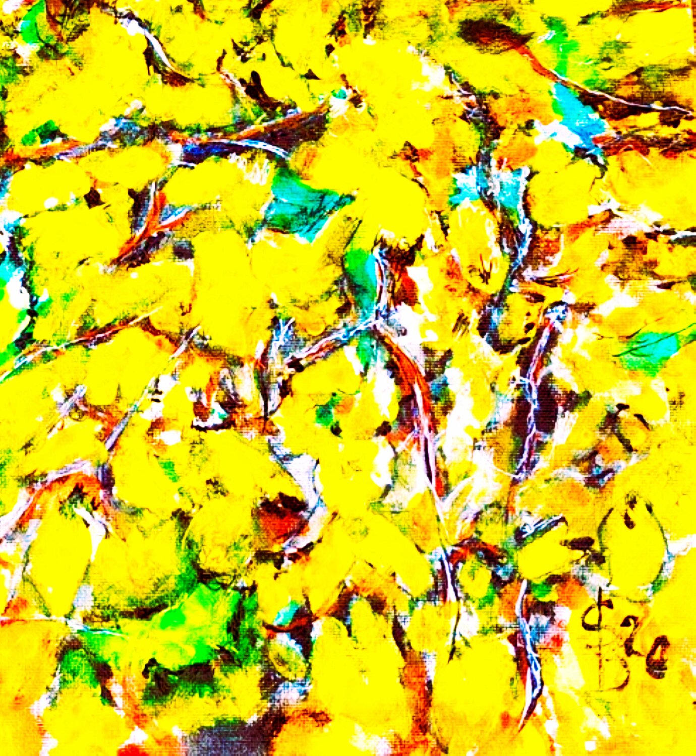 Forsythienstrauch Bernd Stephanny