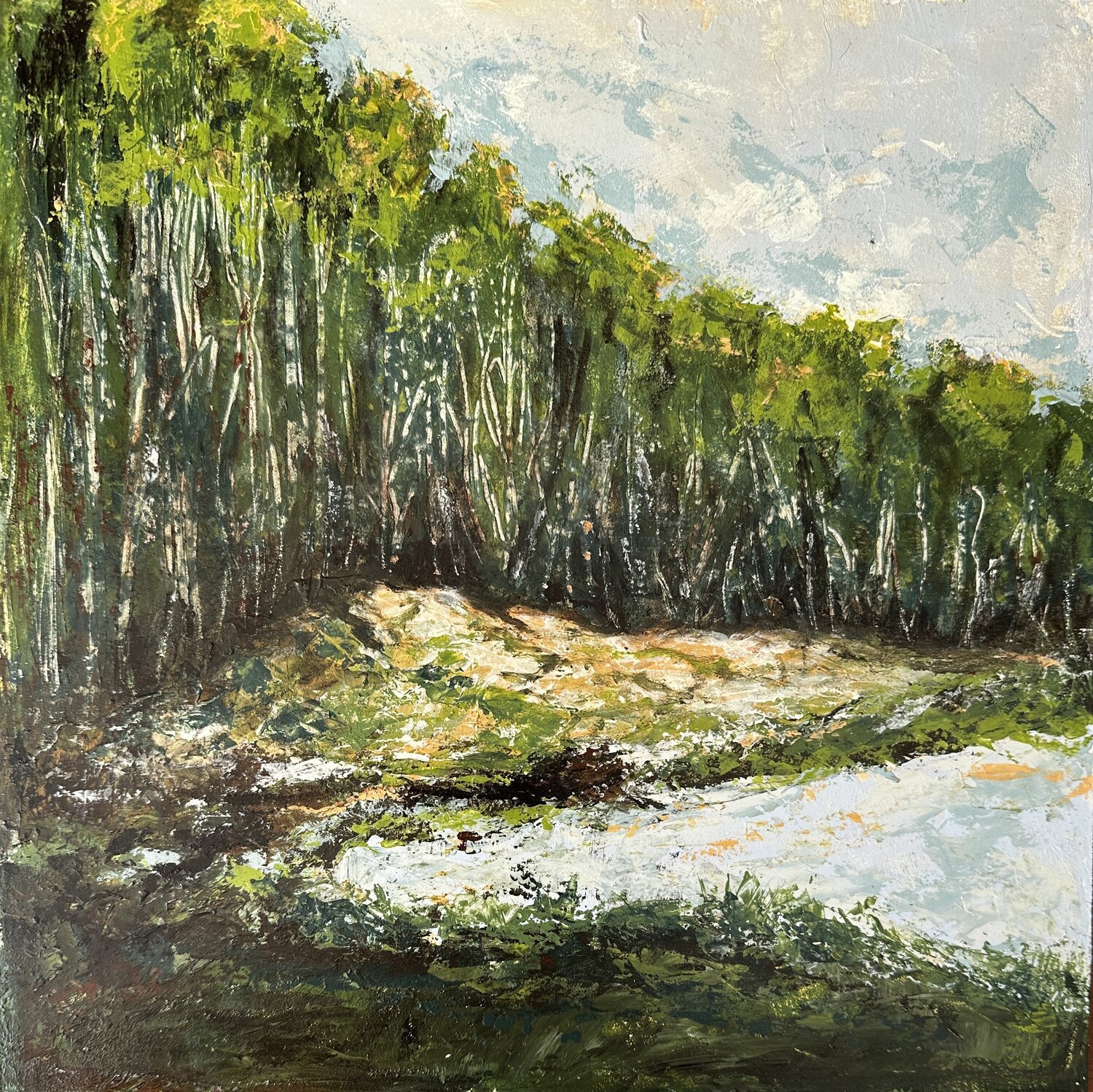 Summer Birch Grove Iryna Bondar