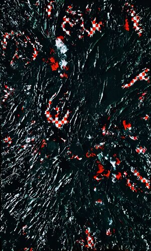 VENOM (at table) van Diane Van Thienen, Schilderij te koop op Singulart