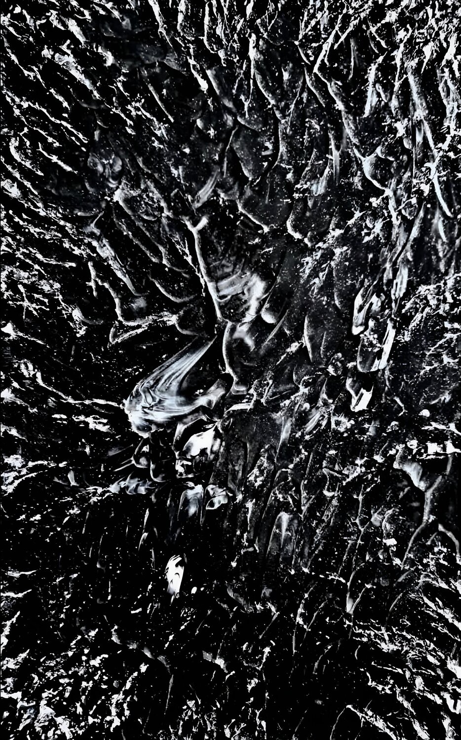 ABYSSES Diane Van Thienen