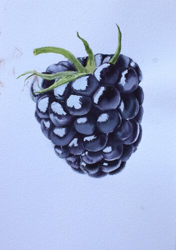 Anemone Lillac Tenderness van Karina Kopteva, Schilderij te koop op Singulart