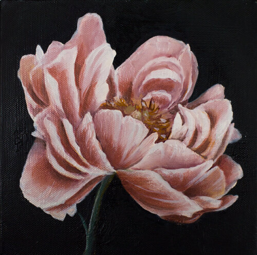 Whisper of Blush Petals van Karina Kopteva, Schilderij te koop op Singulart