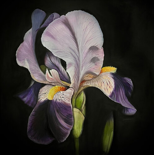 Royal Iris van Karina Kopteva, Schilderij te koop op Singulart