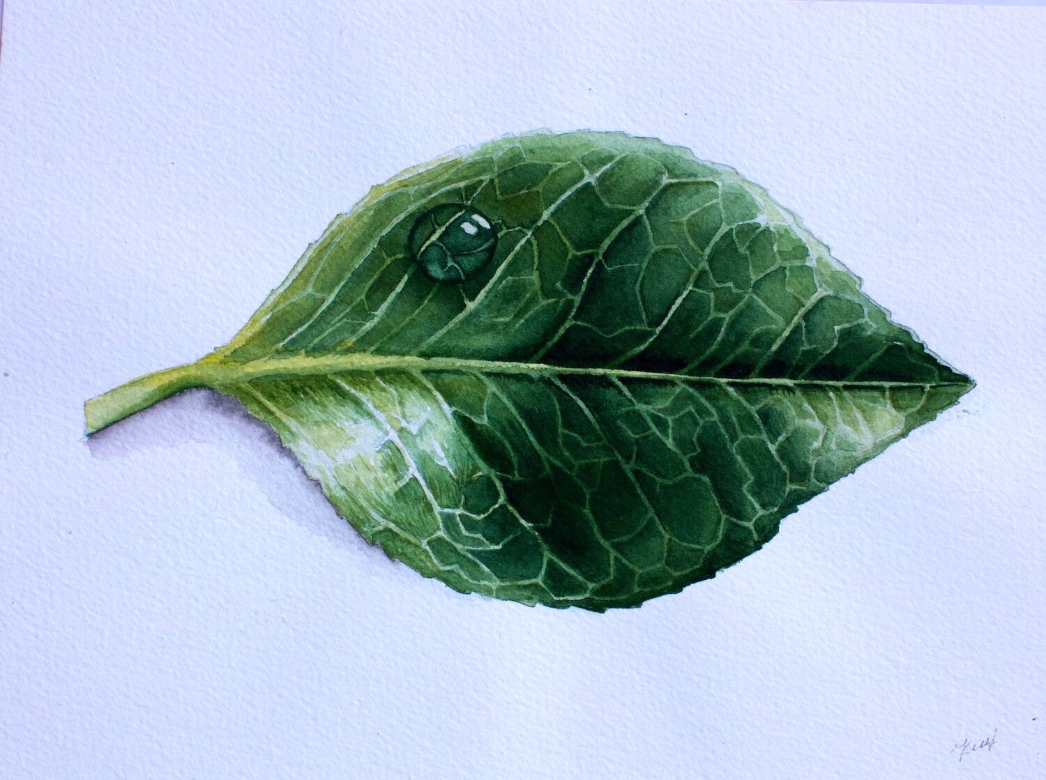 Green Perfection Karina Kopteva