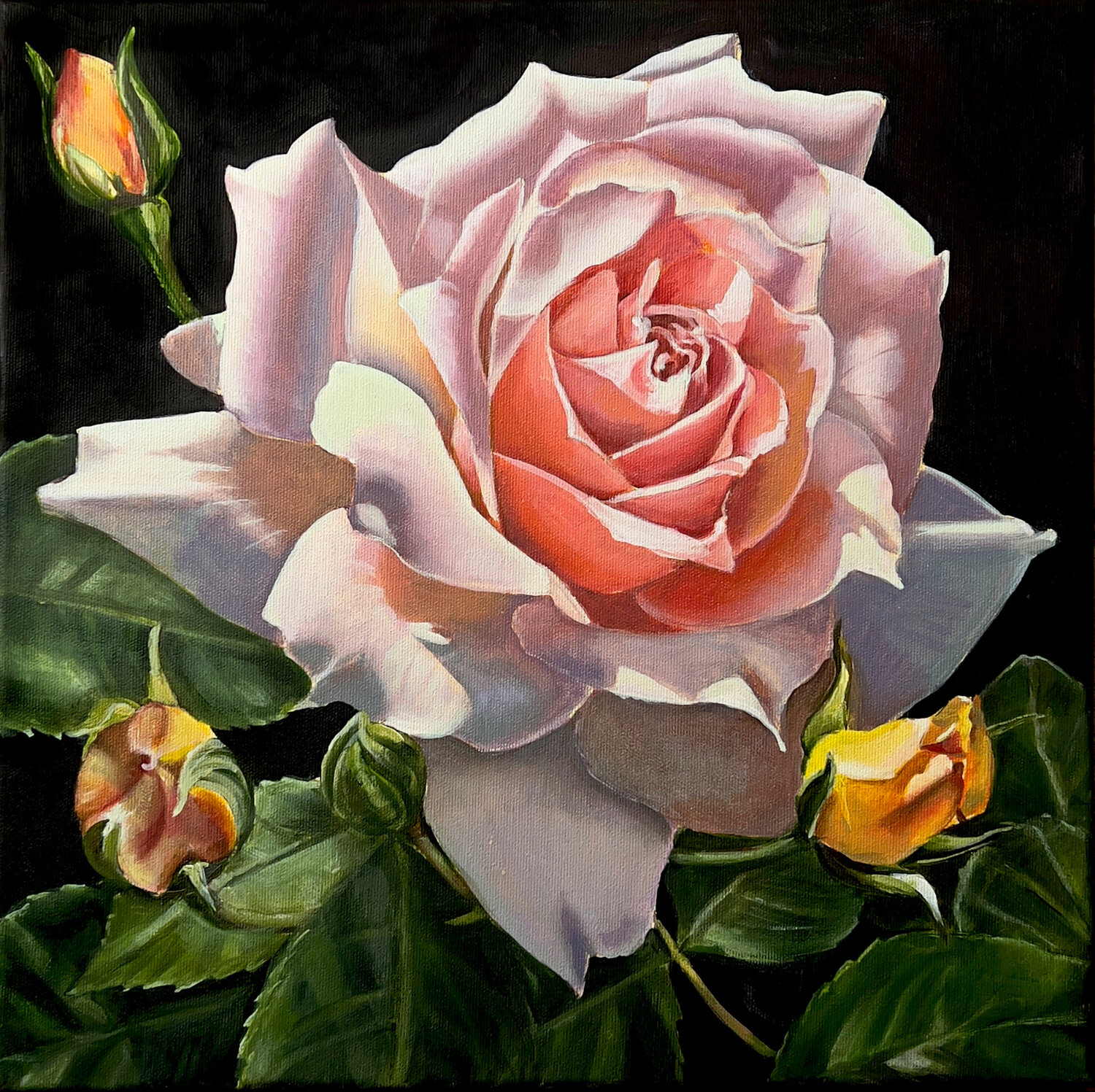 Rose in the dark Karina Kopteva