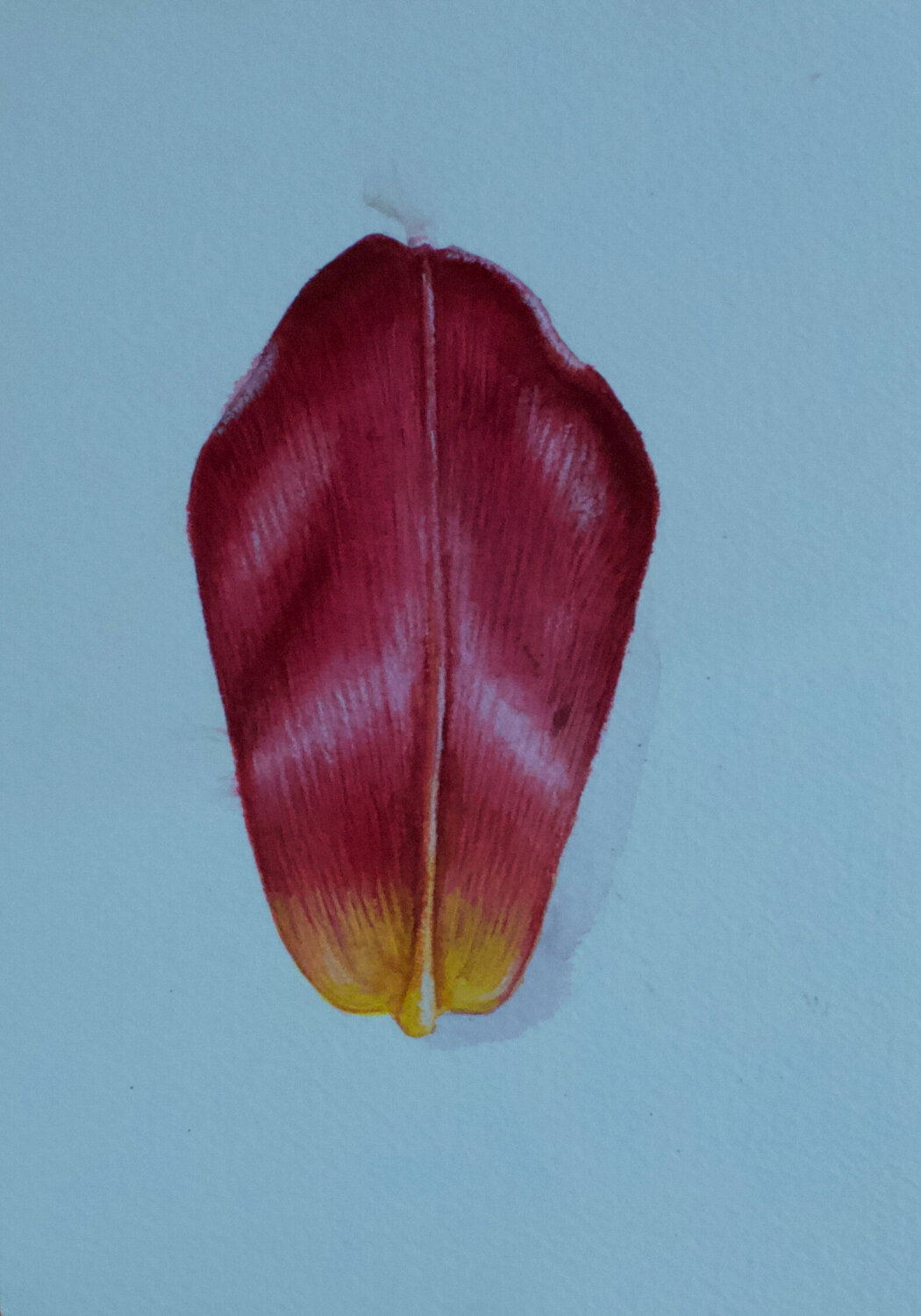 Petal Study in Crimson Karina Kopteva