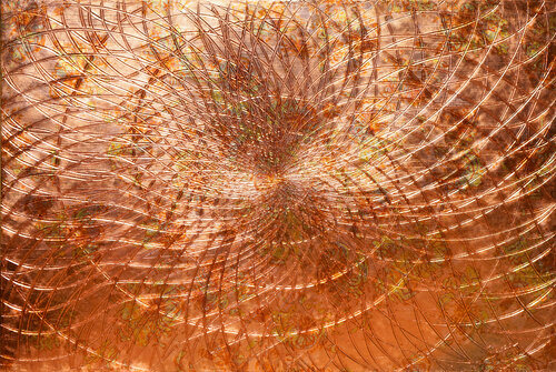 Genesis XXX. di Sarah I. Avni, Pittura in vendita su Singulart