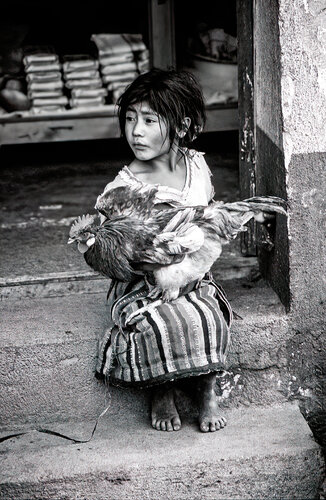 Olivier Schram
