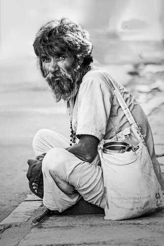 Struggling for life by Olivier Schram, Photography for Sale on Singulart